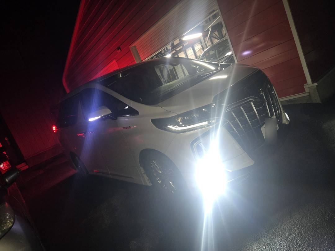 トヨタ　30アルファード　ALPINE BIGX 取り付け